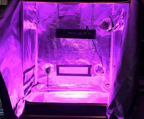 Par-O-Lator_0.1_tent