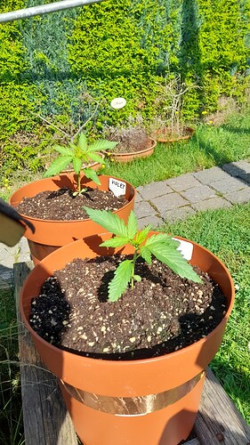 Growreport Bild 14