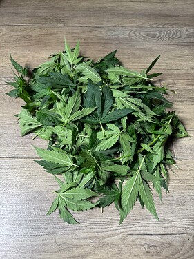Growreport Bild 21