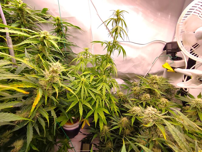 Growreport Bild 7