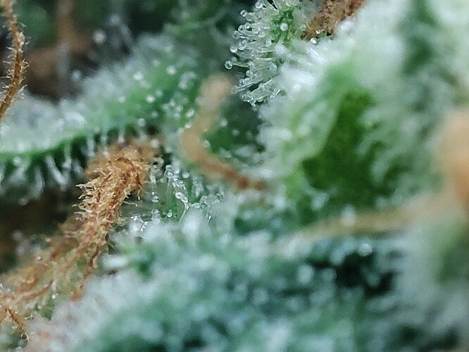 Growreport Bild 10