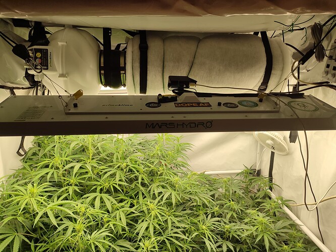 Growreport Bild 14