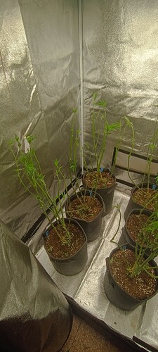 Growreport Bild 7