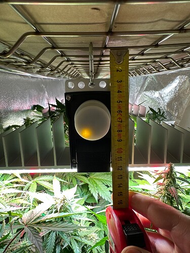 Growreport Bild 15