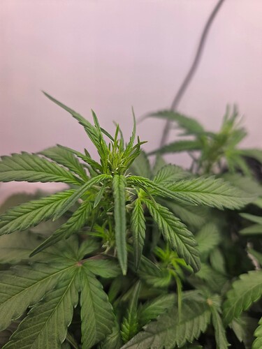 Growreport Bild 8