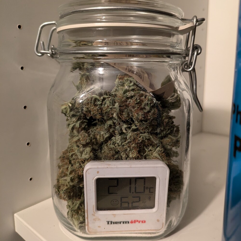 [BEENDET] 1. Growreport - Kellergrow - Somango XL, Special Queen
