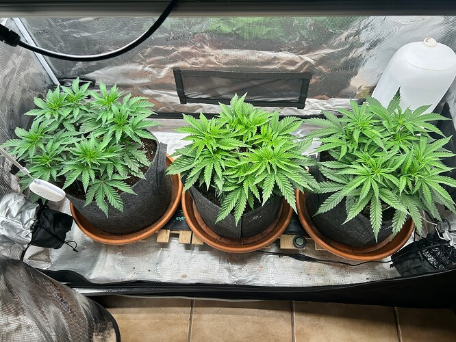Growreport Bild 1