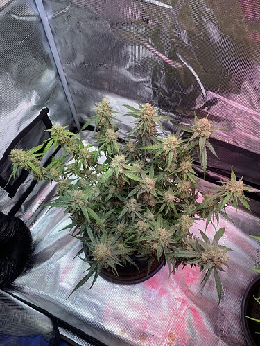 Growreport Bild 14