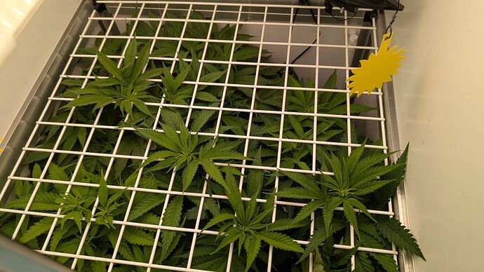 Growreport Bild 7