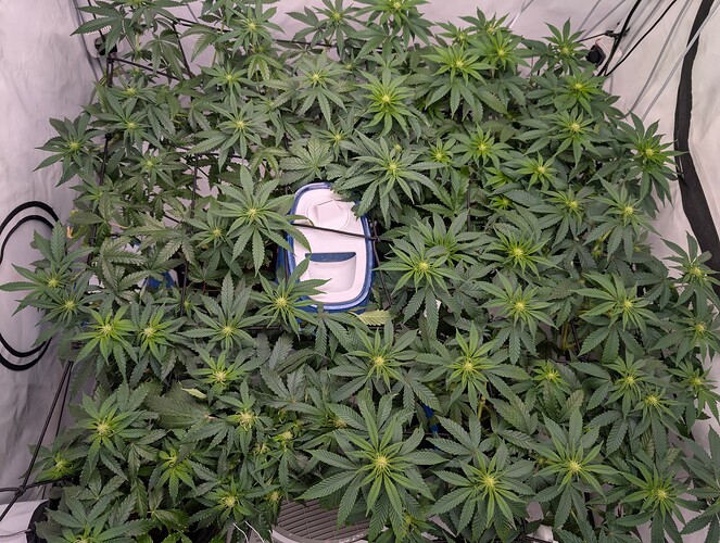 PXL_20250722_162906001.RAW-01.COVER