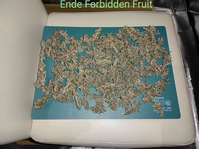 Growreport Bild 7