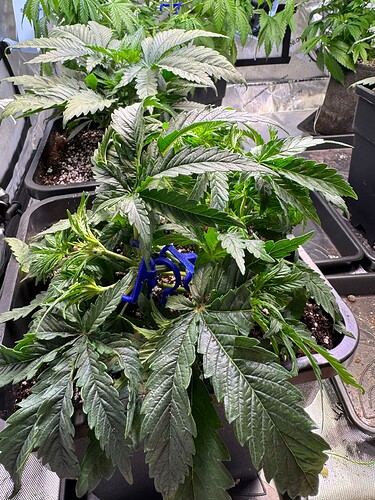 Growreport Bild 8
