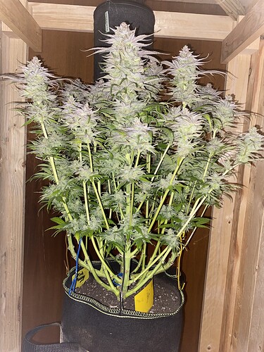Growreport Bild 11