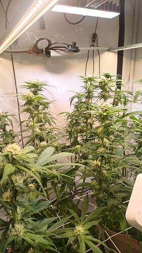 Bild_2024-05-19_144445789