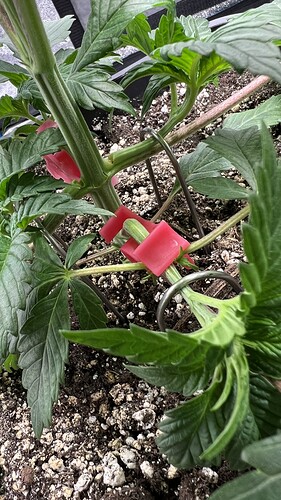 Growreport Bild 10