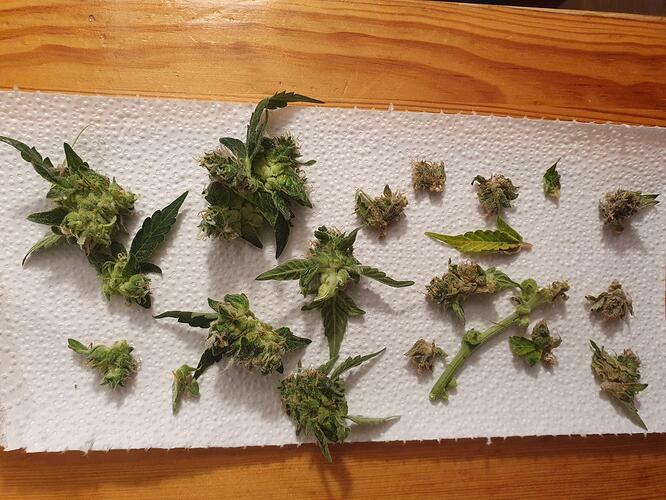 Growreport Bild 10