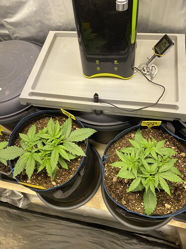 Growreport Bild 18