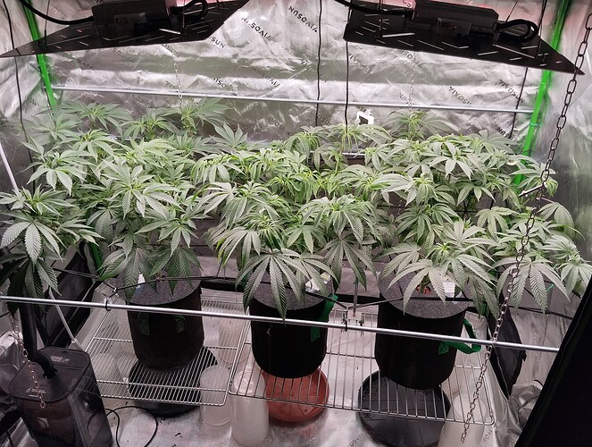 Growreport Bild 1