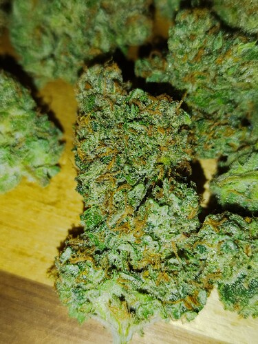 Nahaufnahme von kompakten, harzigen, hellgrünen Cannabisknospen mit orangefarbenen Stempeln und einer dicken Schicht Trichome, die auf einer Holzoberfläche liegen.