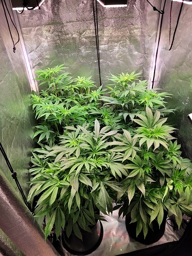 Growreport Bild 10