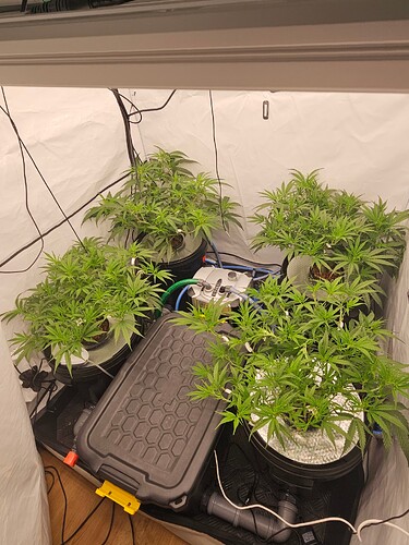 Growreport Bild 7