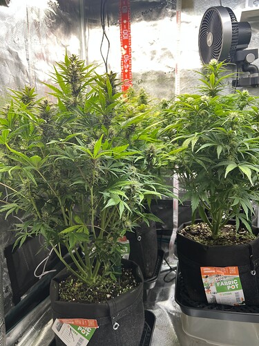 Growreport Bild 22