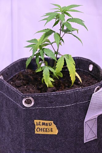 Bildschirmfoto 2025-01-05 um 16.51.32