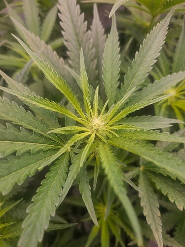 Growreport Bild 26