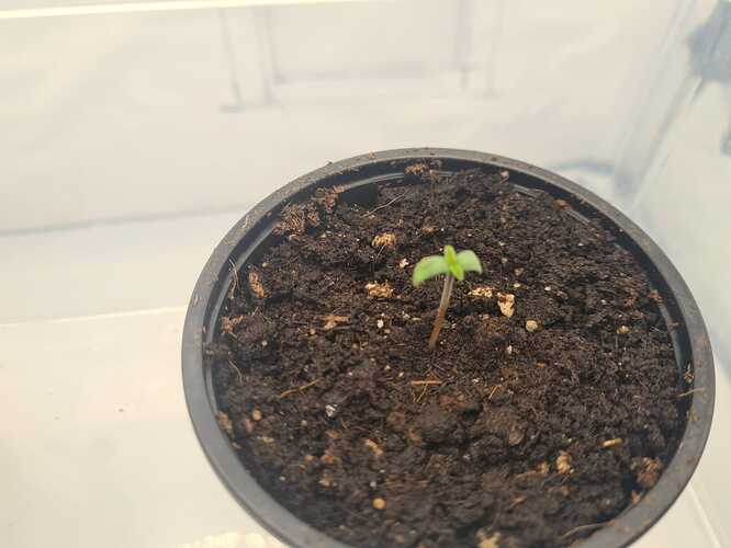 Growreport Bild 10