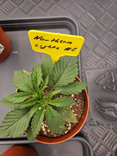 Growreport Bild 19