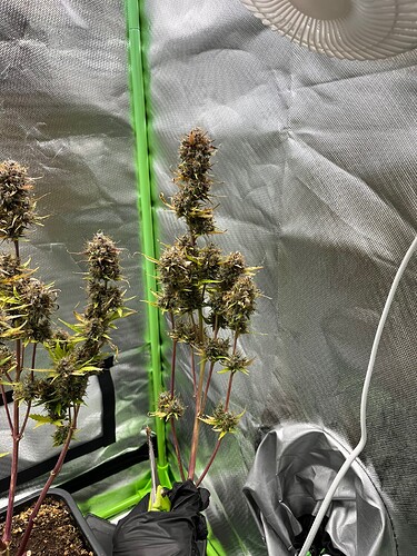 Growreport Bild 14
