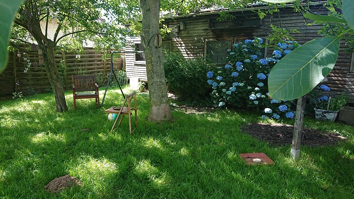Growreport Bild 30