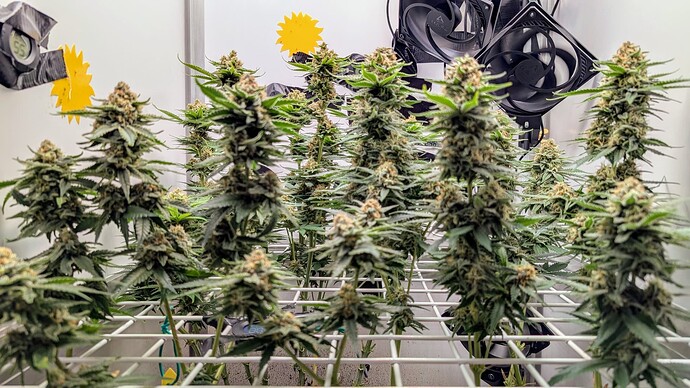 Growreport Bild 10