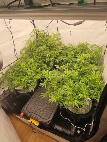 Growreport Bild 7
