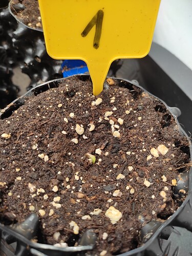 Growreport Bild 14