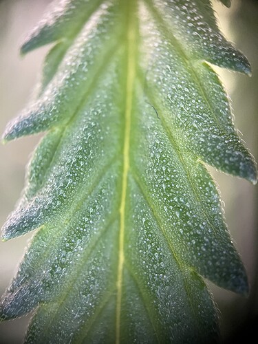 Growreport Bild 21