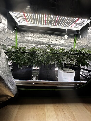 Growreport Bild 17
