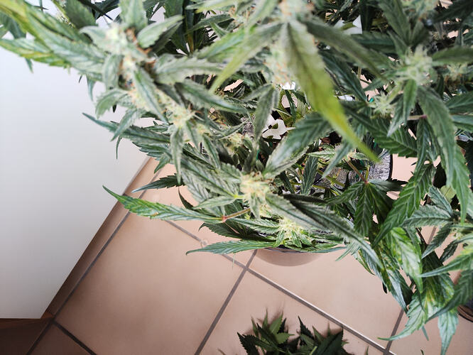 Growreport Bild 15