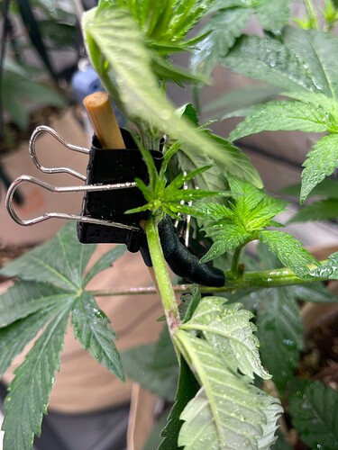 Growreport Bild 17