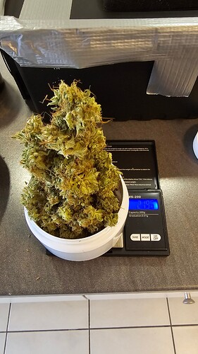 Growreport Bild 4