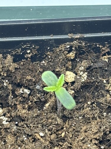 Growreport Bild 6