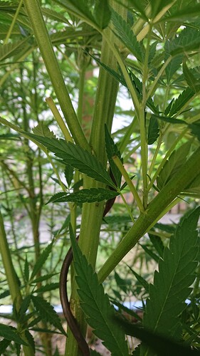 Growreport Bild 8