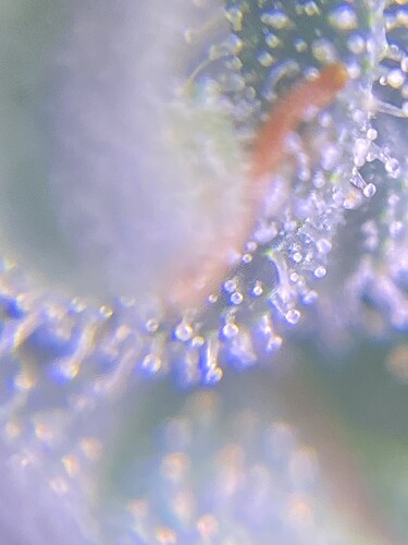Growreport Bild 19