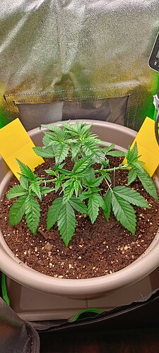 Growreport Bild 10