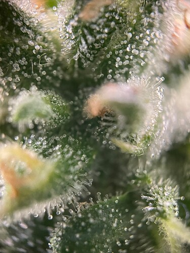 Growreport Bild 10