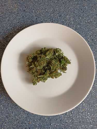 Growreport Bild 1