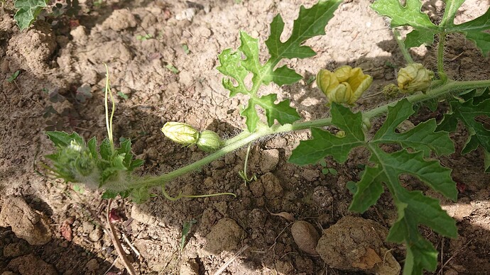 Growreport Bild 22