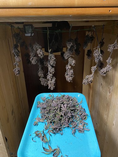 Growreport Bild 1