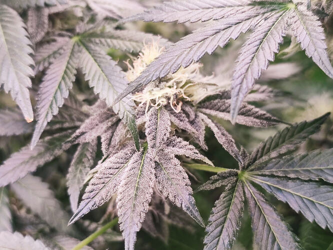 Growreport Bild 11