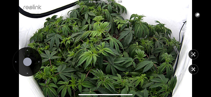 Growreport Bild 4